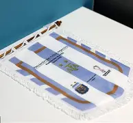 九游平台-疯狂的奥兰多